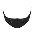 Anlan 01-ASLY41-001 EMS Slimming Face Mask