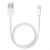 Apple Lightning / USB Cable ME291ZM/A - White - 0.5m