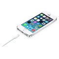 Apple MD819ZM/A Lightning / USB Cable - iPhone, iPad, iPod - White - 2m