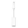 Apple Thunderbolt To FireWire Adapter MD464ZM/A