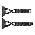 Apple Watch (38/40/SE/41/42mm) Diamond Steel Women Watch Strap