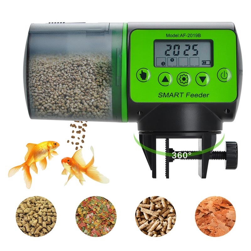 Why You Should Use An Automatic Fish Feeder: The Benefits You Should Know