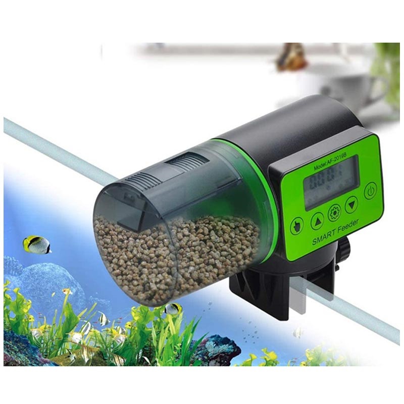 automatic fish tank feeder
