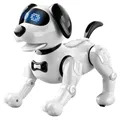 JJRC R19 Smart Robot Dog with Remote Control for Kids