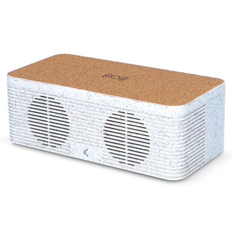 levi bluetooth speaker