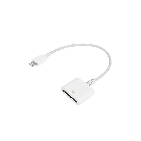 spier vork Behoren A High-quality Apple Lightning to 30-pin Adapter | MTP