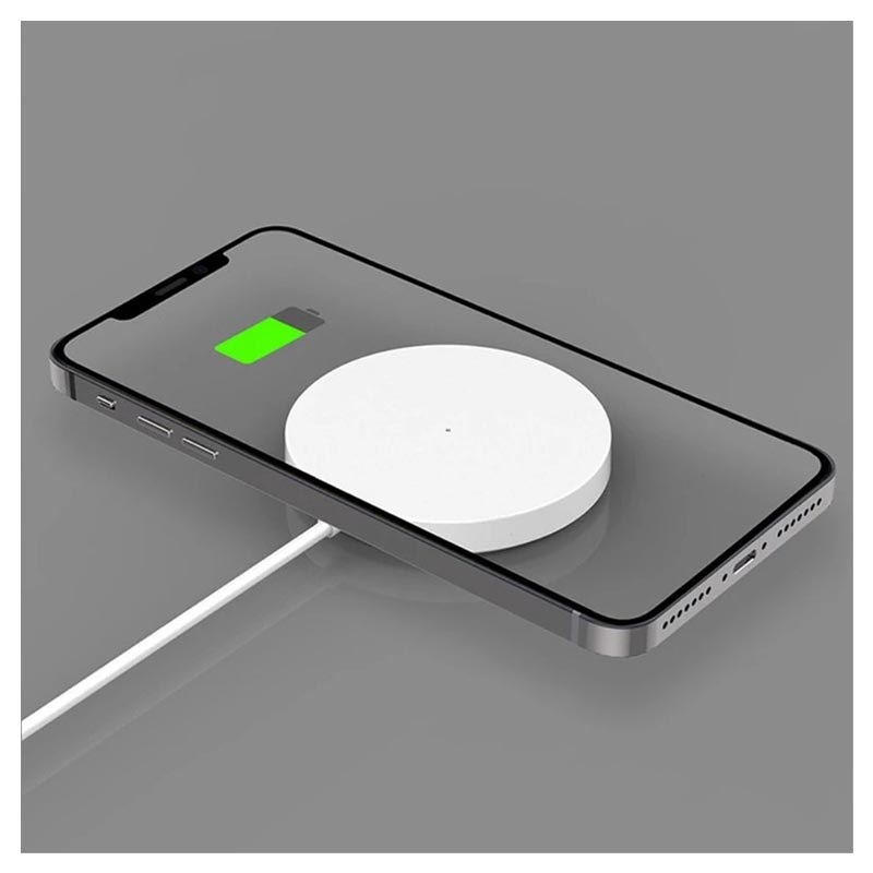 iphone 12 5w charger