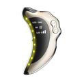 NY-S008 RF & EMS Gua Sha Facial Massager - 5-Colour LED - Gold