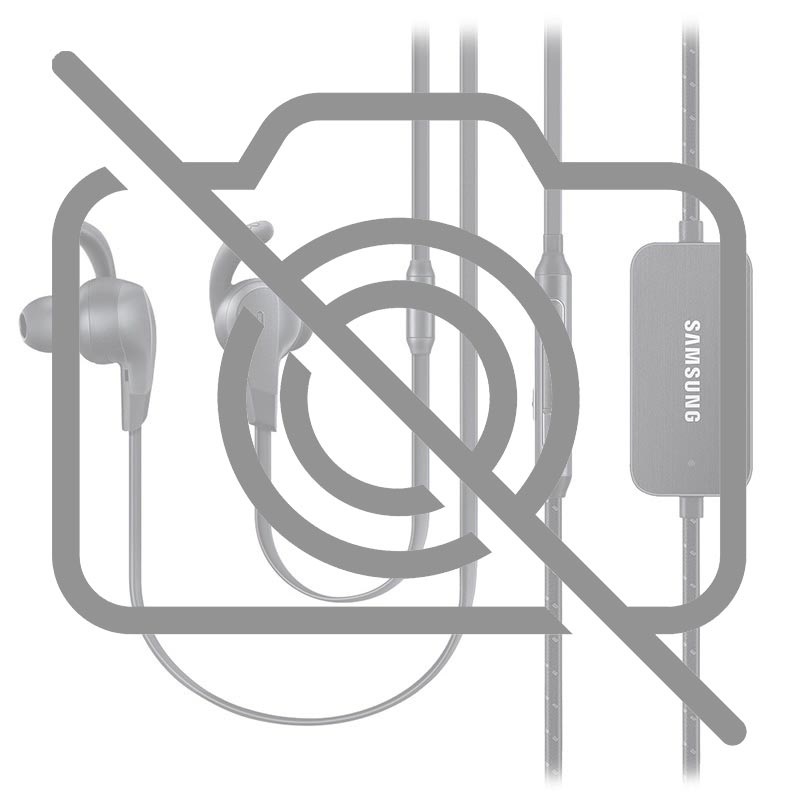 Samsung ANC Type-C Earphones EO-IC500BBEGWW