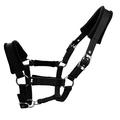Padded Horse Halter 25mm - Size M - Black