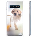 Samsung Galaxy S10+ TPU Case - Dog