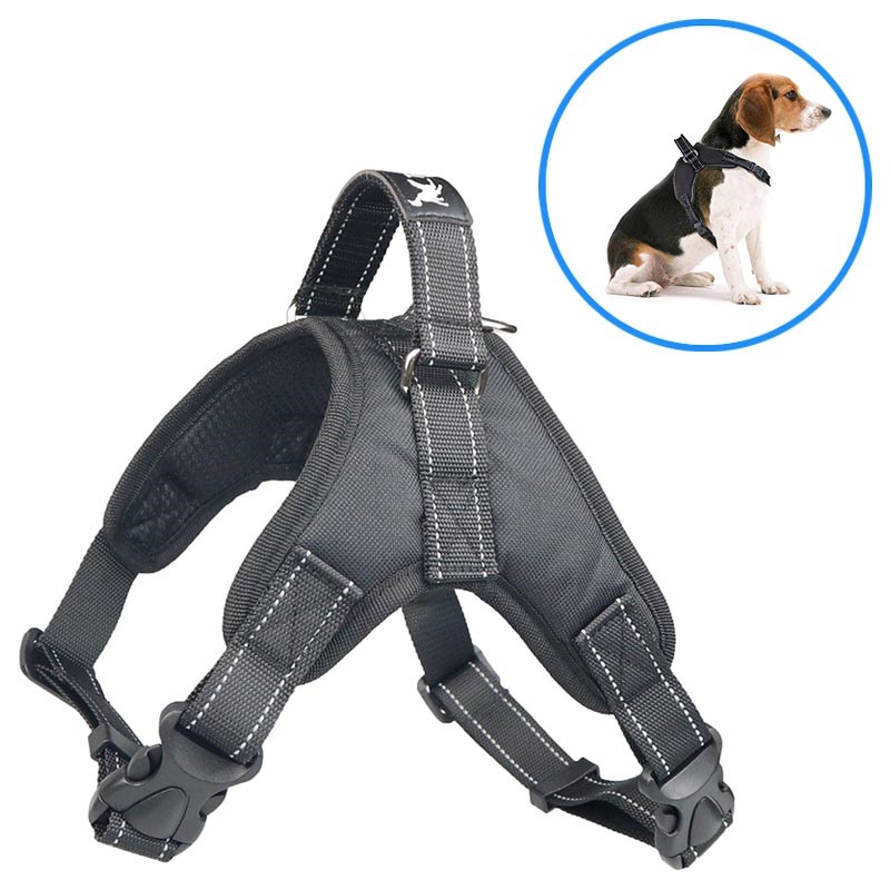 tail up harness