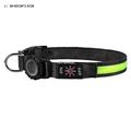 Waterproof LED Dog Collar with Apple AirTag 1/2 Holder - Large 38-60cm - Green