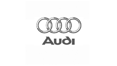 Audi Dashmount
