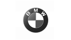 BMW Dashmount