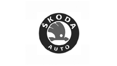 Skoda Dashmount