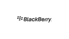 BlackBerry Cases