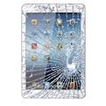 iPad mini Display Glass & Touch Screen Repair - White