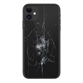 iPhone 11 Back Cover Repair - Glass Only - Black