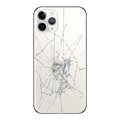 iPhone 11 Pro Back Cover Repair - Glass Only - Silver