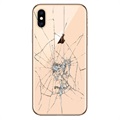 iPhone XS Back Cover Repair - Glass Only - Gold