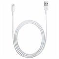 Apple Lightning / USB Cable MQUE2ZM/A - iPhone, iPad, iPod - 1m
